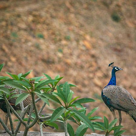 Open House By Stayvista - Nestled In Nature, Featuring A Swimming Pool & Expansive Lawn For A Serene Retreat Shikrapur 外观 照片